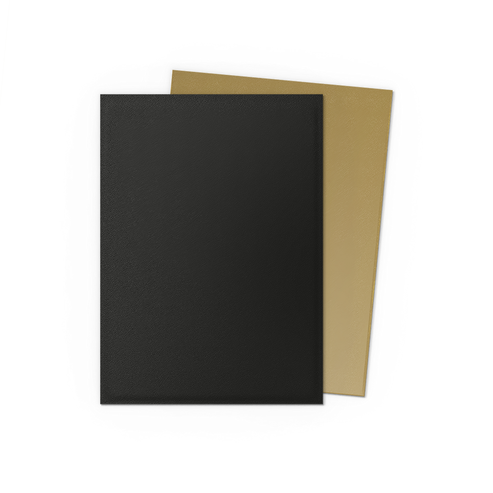 Mica Standard Dual Matte - Dragon Shield - Black & Gold