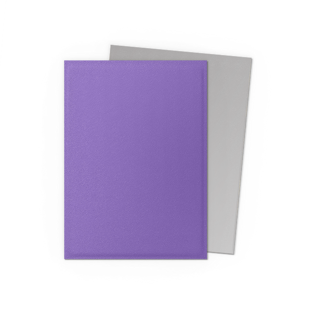 Mica Standard Dual Matte - Dragon Shield - Nebula & Silver