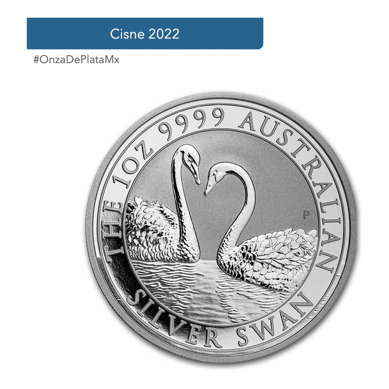 Onza Plata Pura - Cisne Swan - 2022 - Moneda 1 Oz Odpmx