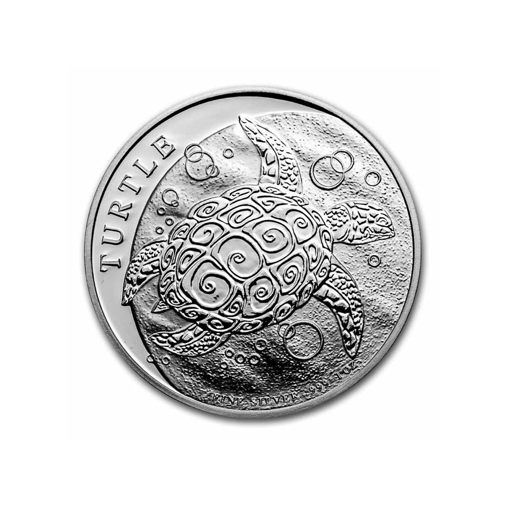 Tortuga Carey - 2022 - Moneda de Plata