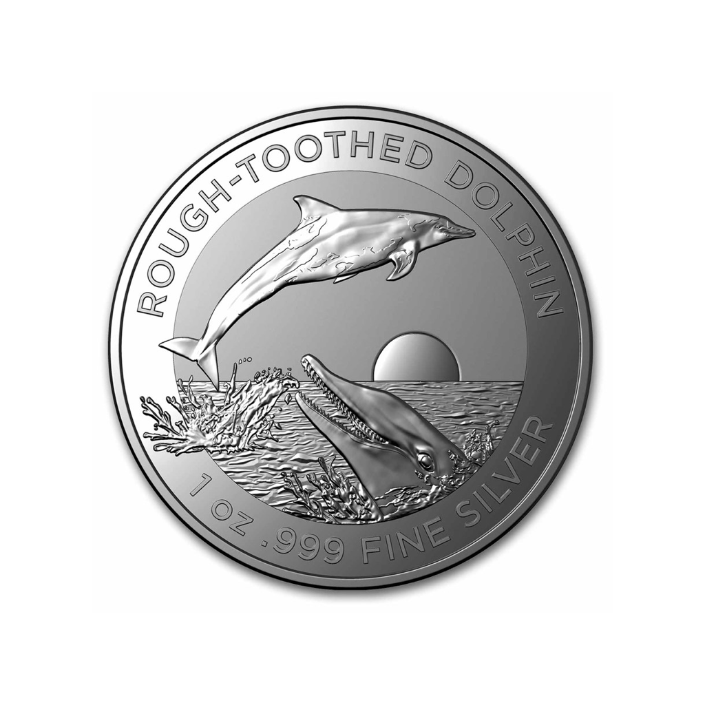 Delfin - 2023 - Moneda de Plata