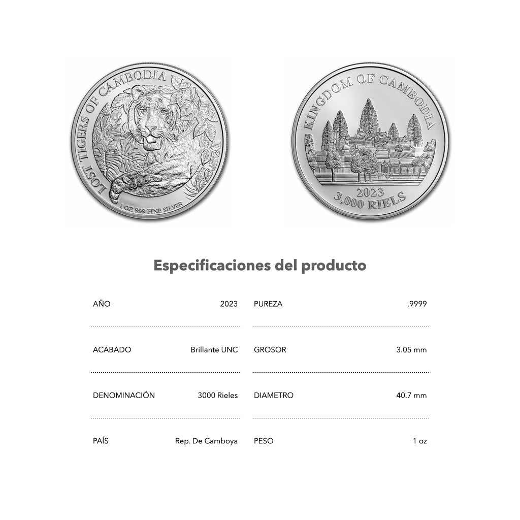 Tigres perdidos - 2023 - Camboya - Moneda de Plata