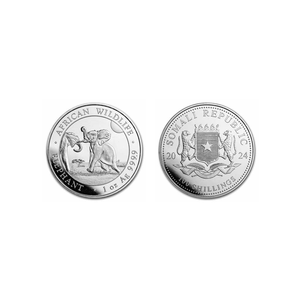 Elefante - 2024 - Rep. de Somalia - Moneda de Plata