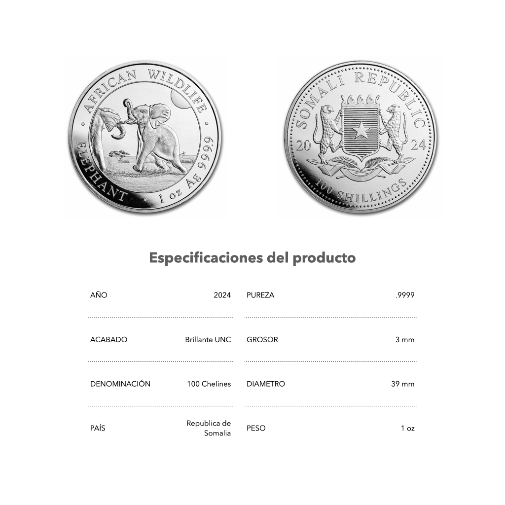 Elefante - 2024 - Rep. de Somalia - Moneda de Plata