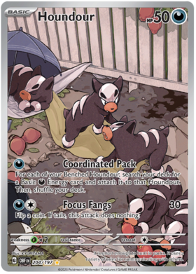 204/197 Houndour