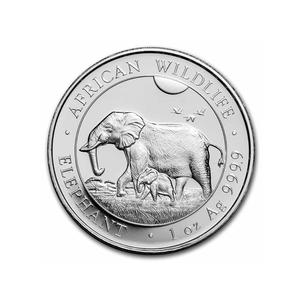 Elefante - 2022 - Rep. de Somalia - Moneda de Plata