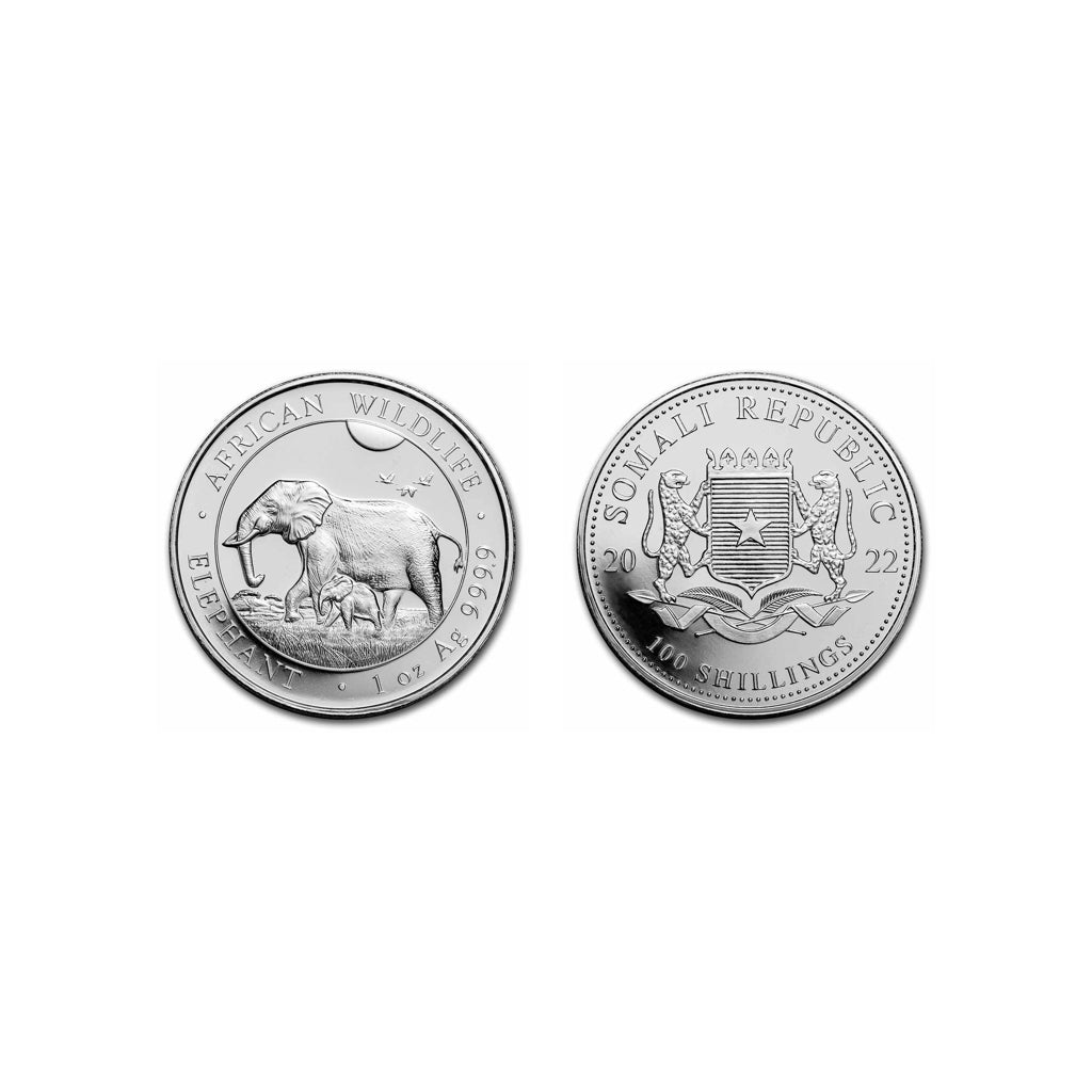 Elefante - 2022 - Rep. de Somalia - Moneda de Plata