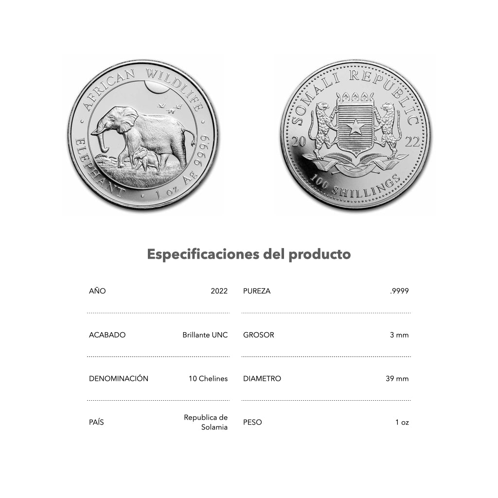 Elefante - 2022 - Rep. de Somalia - Moneda de Plata