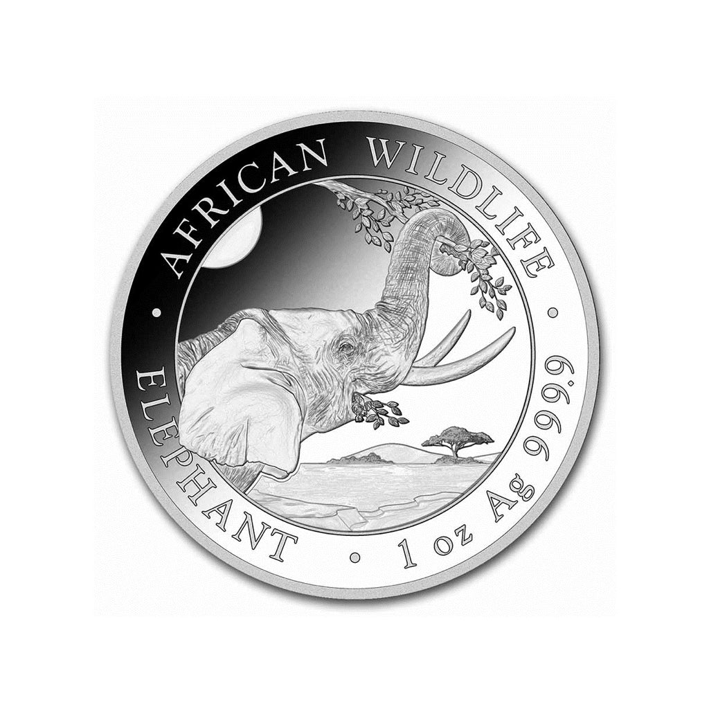 Elefante - 2023 - Rep. de Somalia - Moneda de Plata