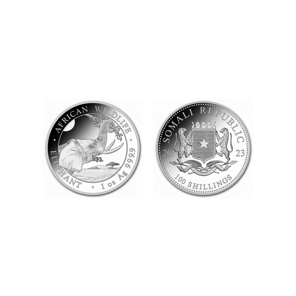 Elefante - 2023 - Rep. de Somalia - Moneda de Plata