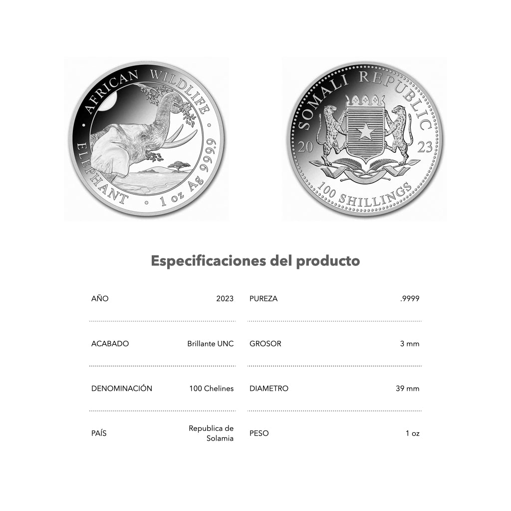 Elefante - 2023 - Rep. de Somalia - Moneda de Plata