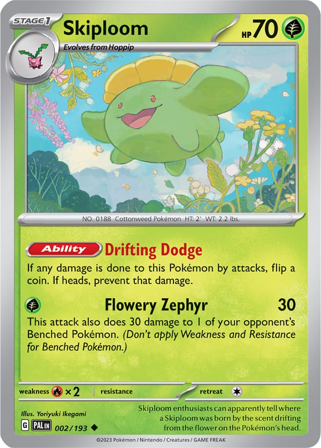 002/193 Skiploom